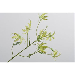 GLORIOSA SPRAY GREEN 110 cm