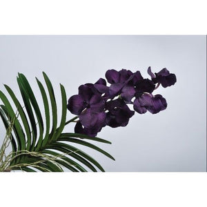 VANDA PLANT BLUE LT 91 cm