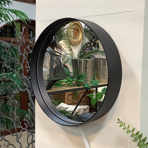 Mirror round steel