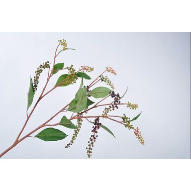 BERRY SPRAY SPRAY BURGUND 109 cm