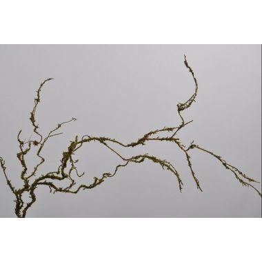 TWIG MOSS GREEN 130 cm