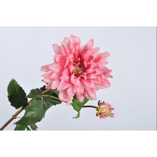 DAHLIA STEM PNK/BTY 75 cm