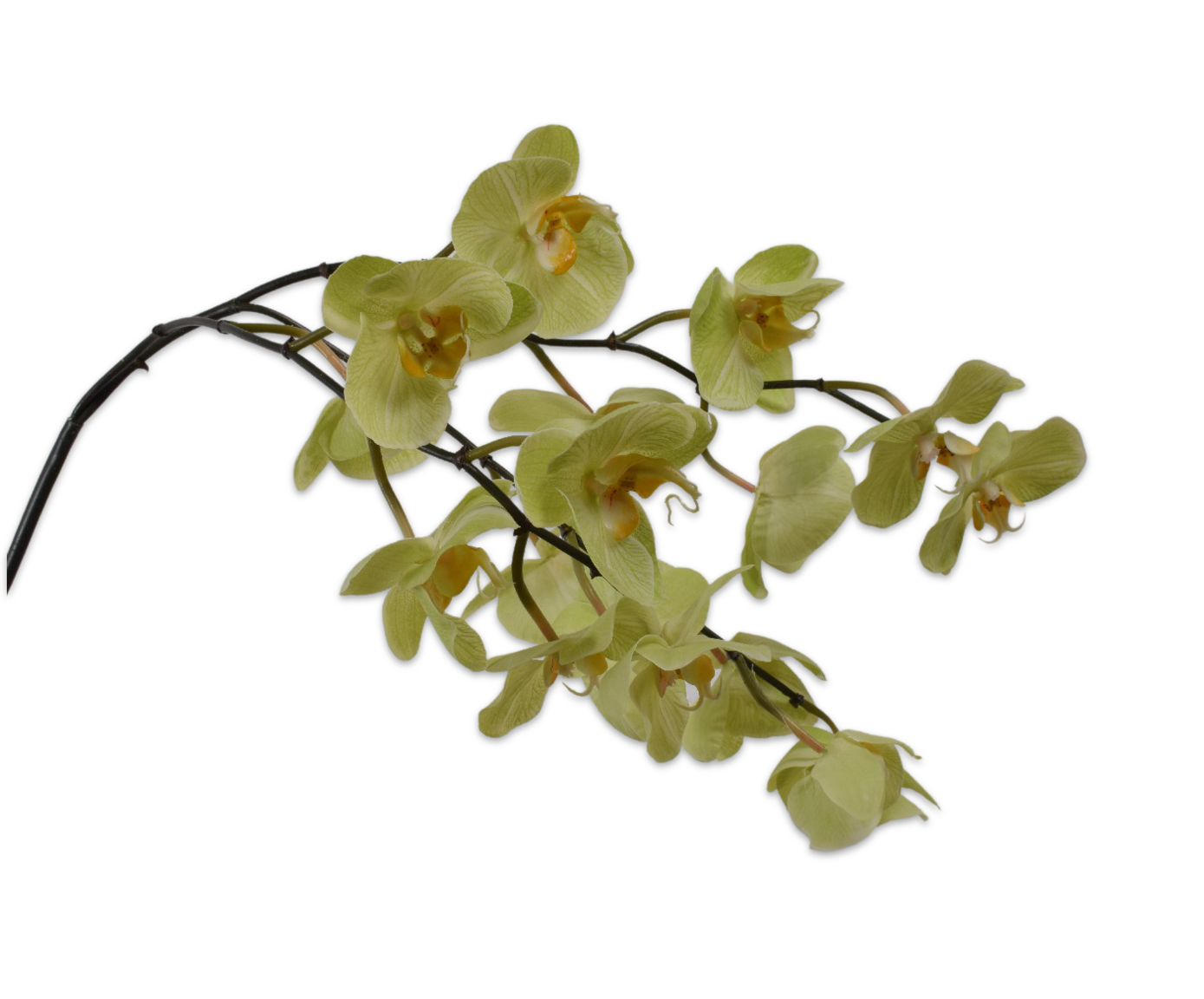 ORCHID STEM GREEN 110 cm