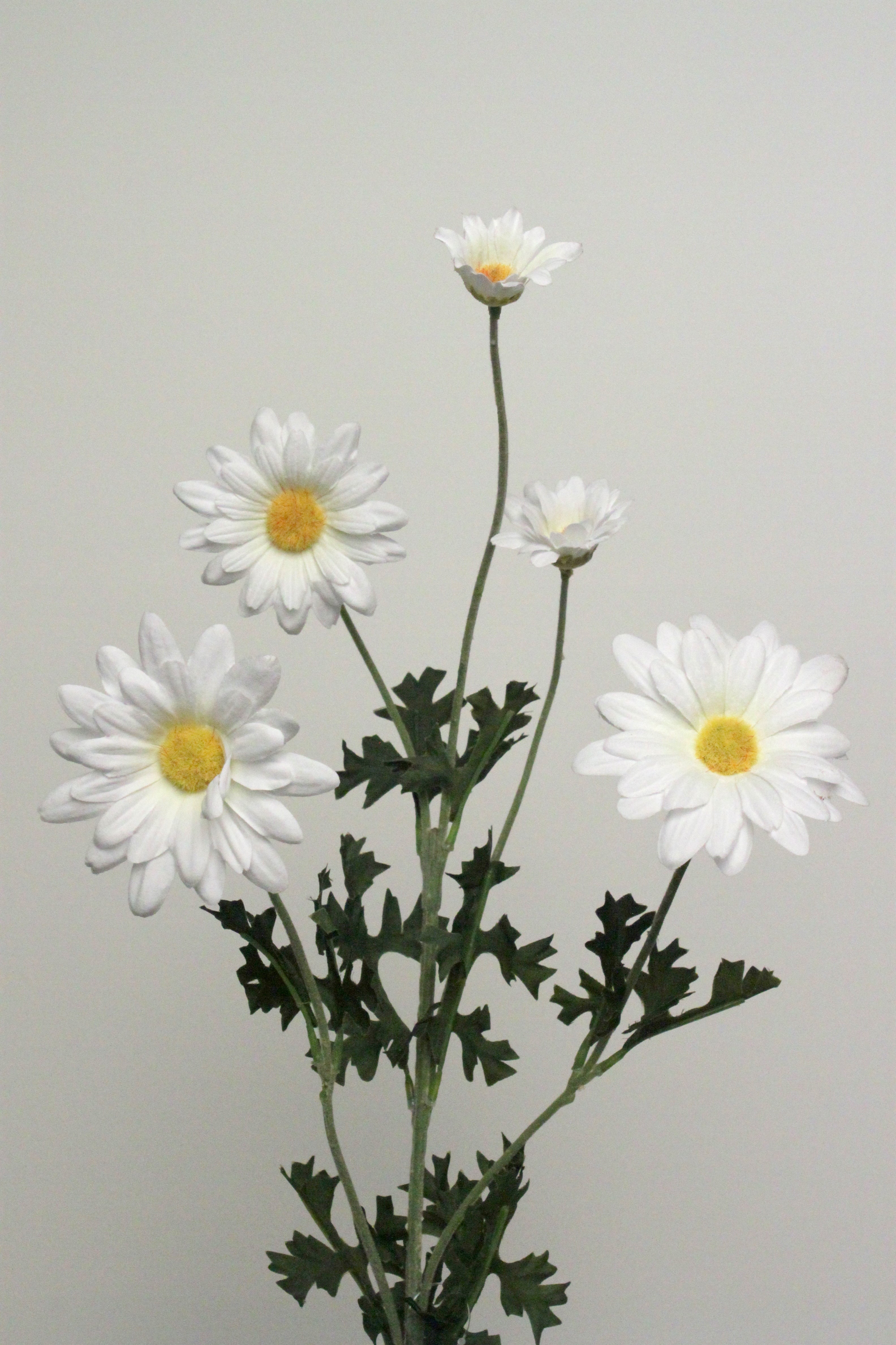 MARGRIET X5 WHITE 90cm