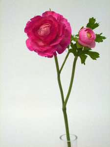 RANUNCULUS SPRAY X2 FUCHSIA 58cm