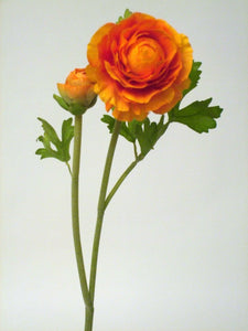 RANUNCULUS SPRAY X2 ORANGE 58cm