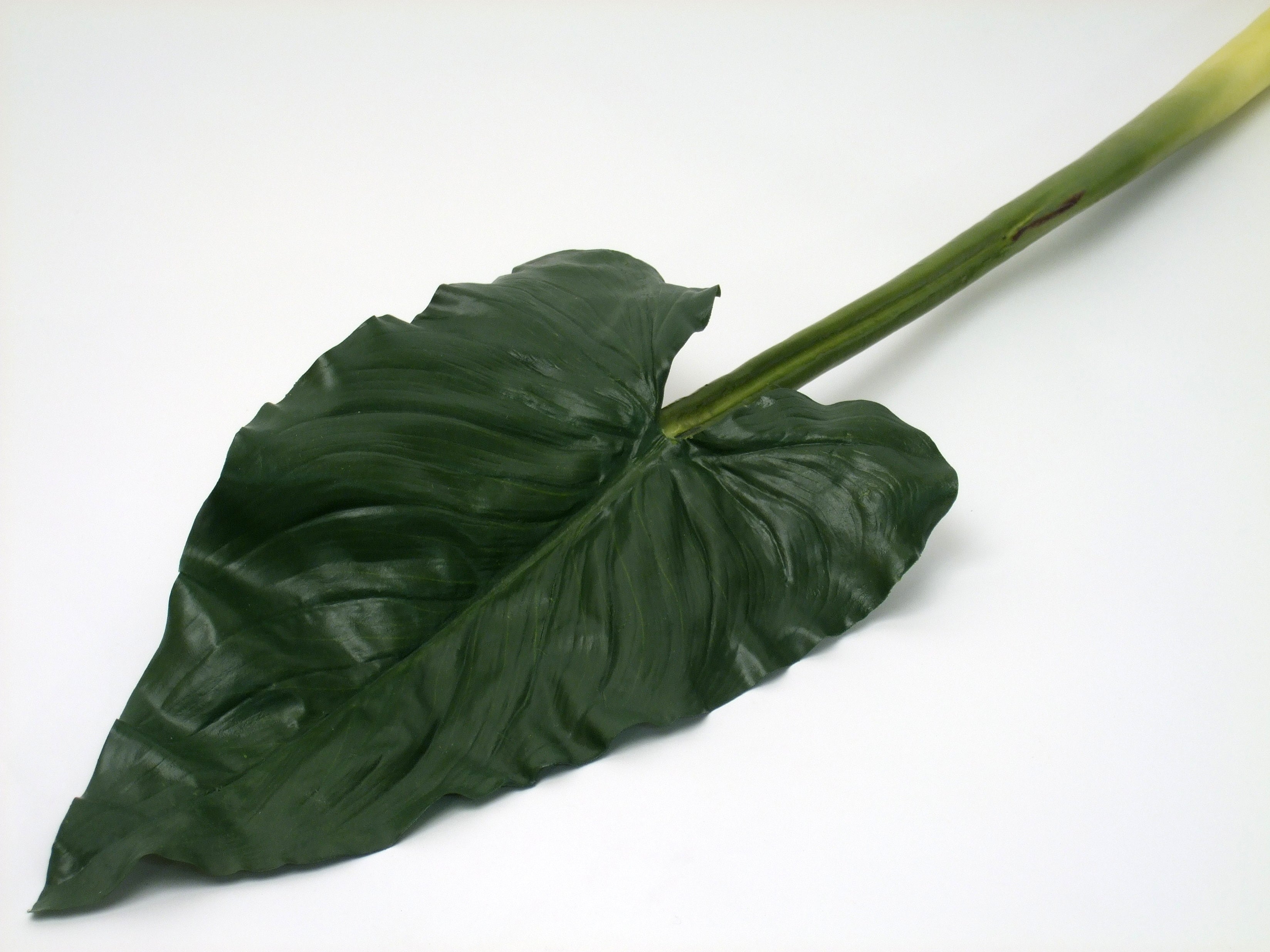 CALLA LILY LEAF 80cm