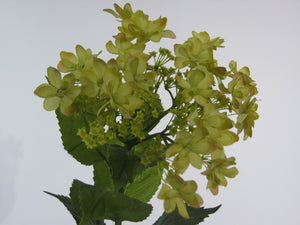 HORTENSIA SMAL GREEN 65cm