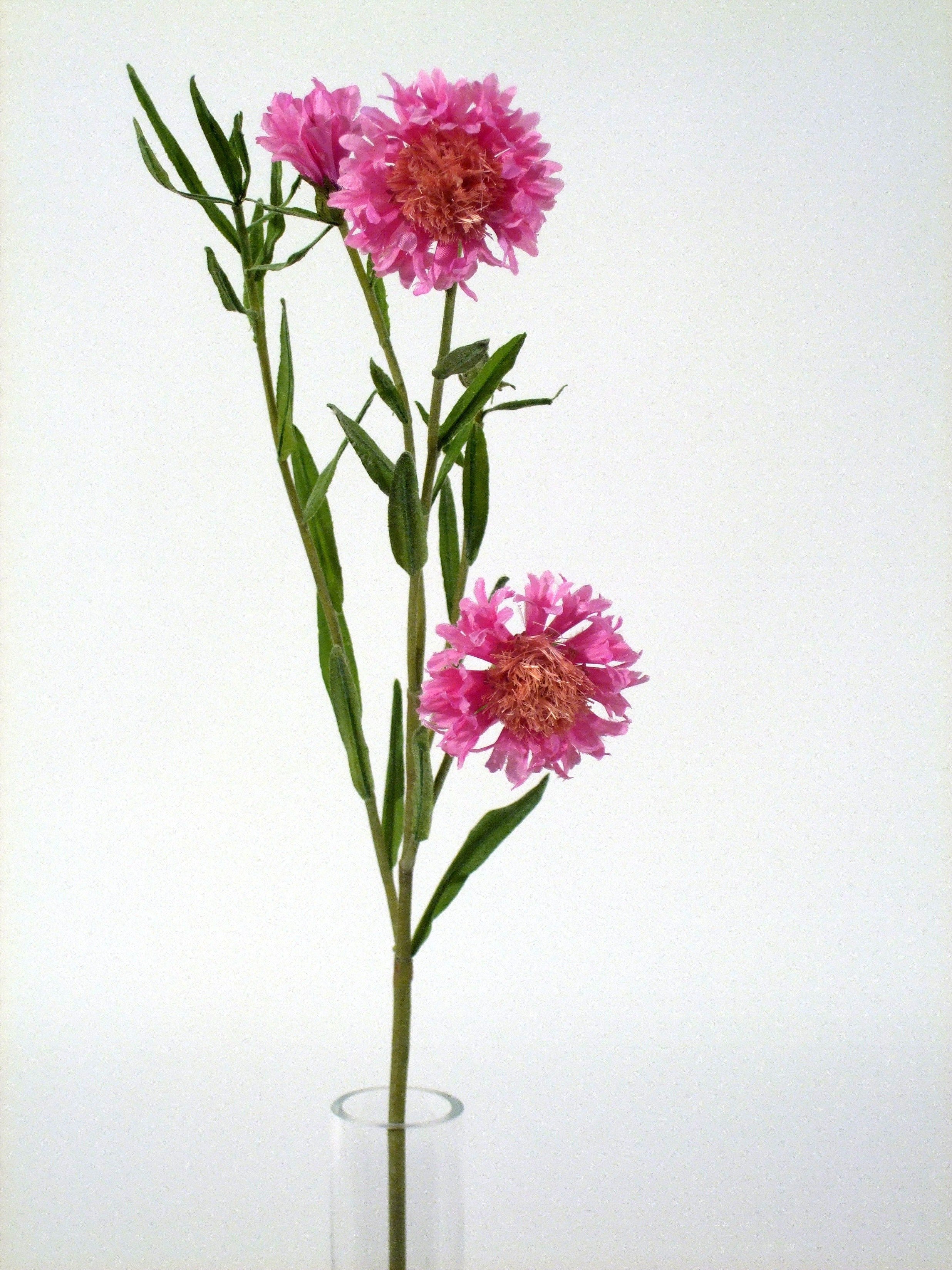 CORNFLOWER PINK 53cm