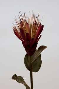 31.5''PROTEA PP 80cm