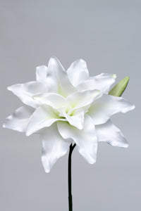 CASABLANCA LILY WH CR 90cm