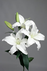 LILY 3FL2B WHITE