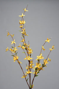 FORSYTHIA BR YEL 96cm