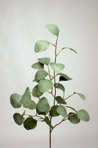 EUCALYPTUS DOLLAR GR 89cm