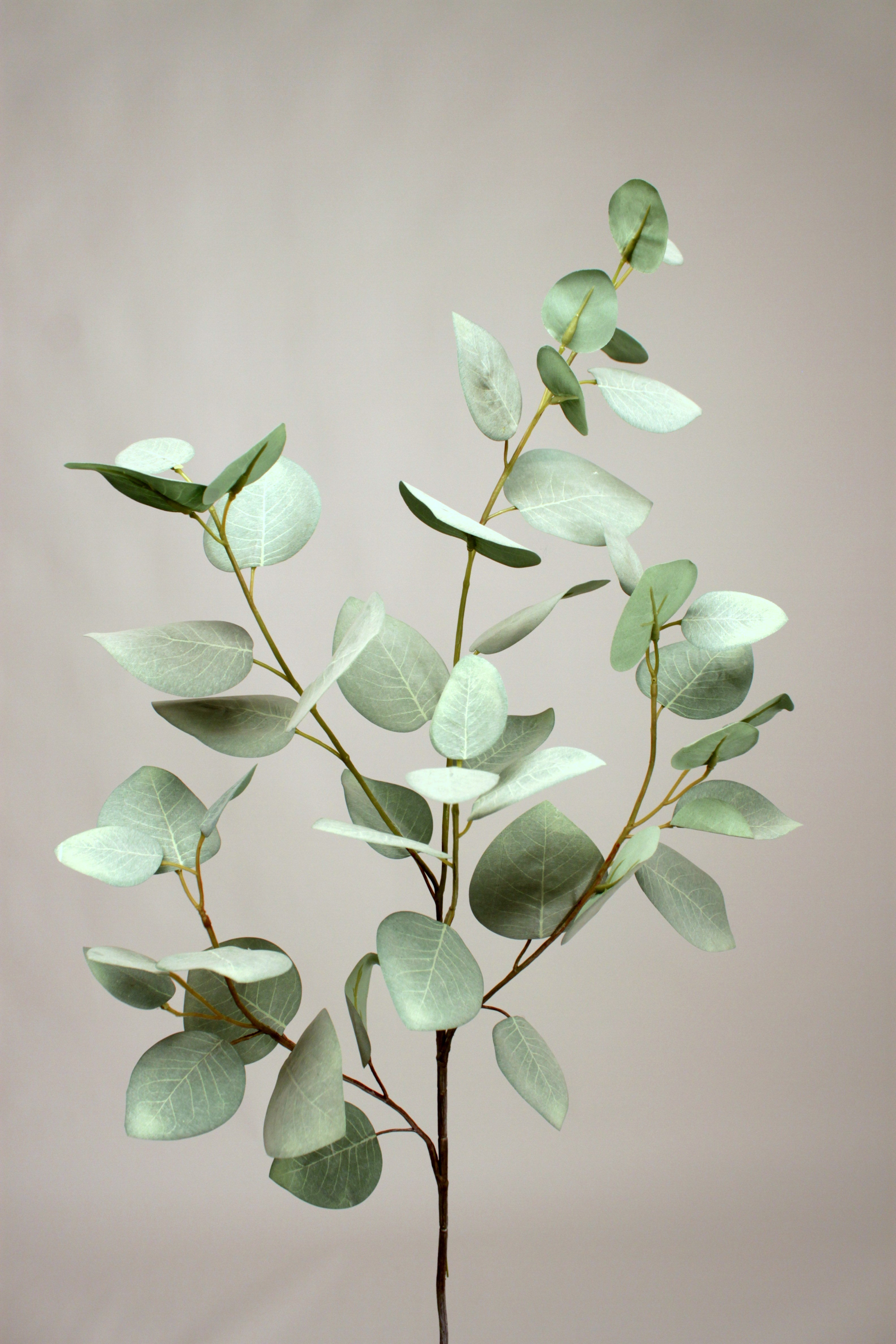 EUCALYPTUS LEAF SPRAY GREY 94cm