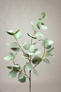 EUCALYPTUS LEAF SPRAY GREY 94cm