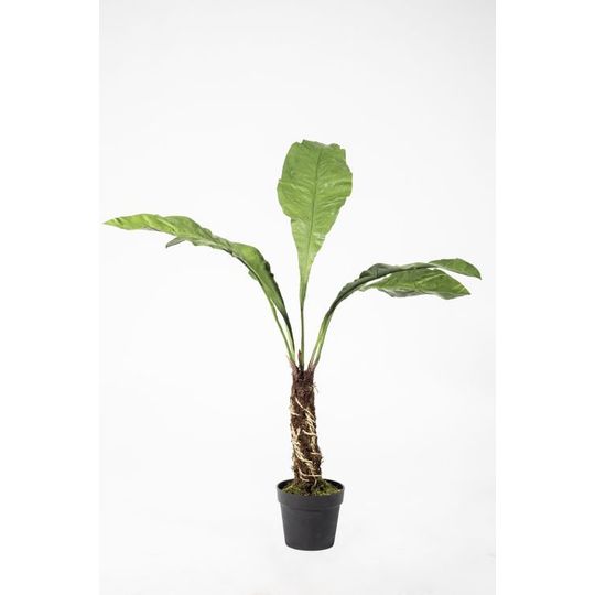 PLANT I/POT GREEN 140 cm