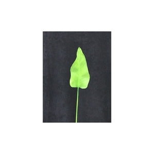 CALLA LILY LEAF