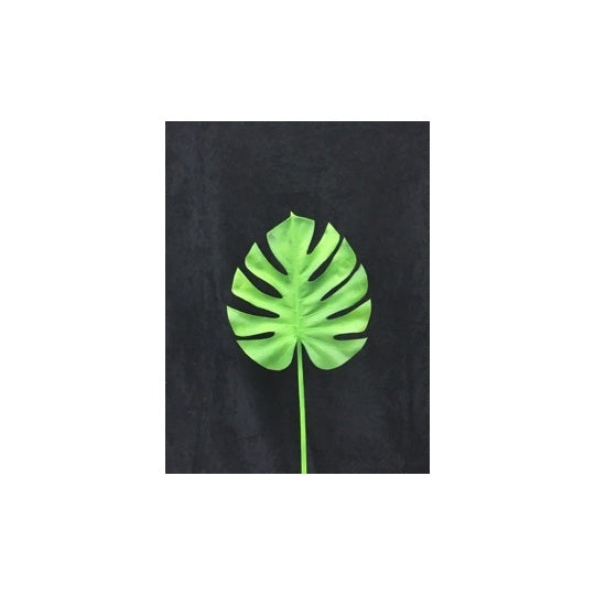 MONSTERA LEAF