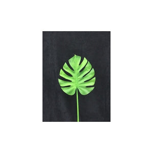 MONSTERA LEAF