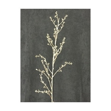 BERRY TREE BRANCH