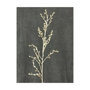 BERRY TREE BRANCH